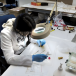 Pengembangan Program Studi Kesehatan: Pengembangan Program Studi Kesehatan di Era Modern